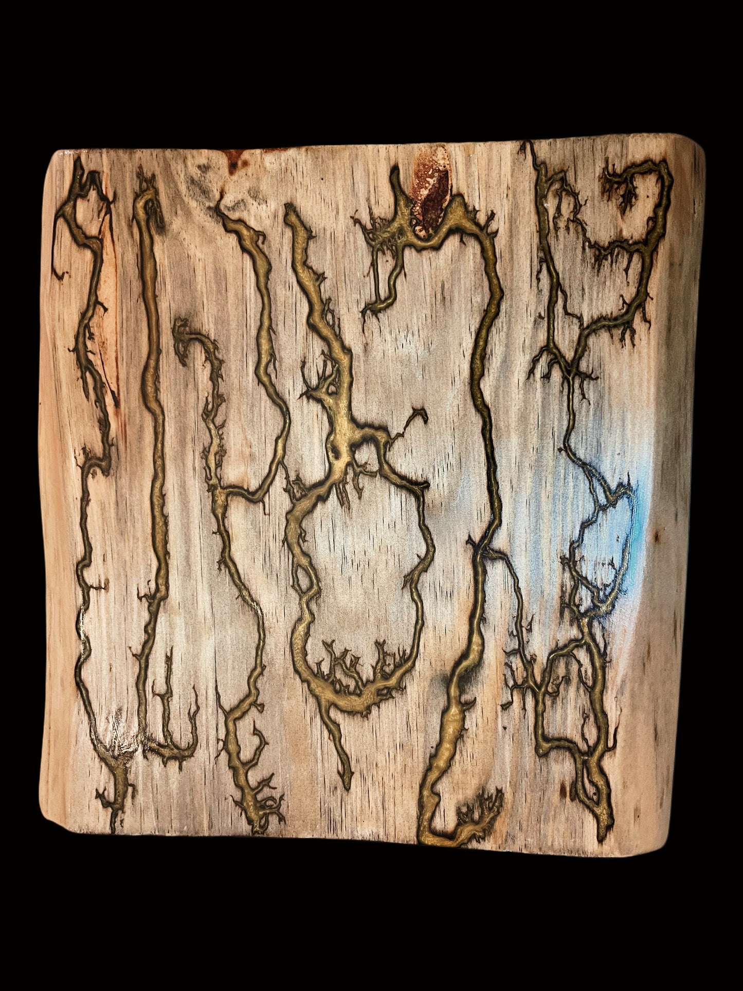 Small Live Edge Charcuterie Board