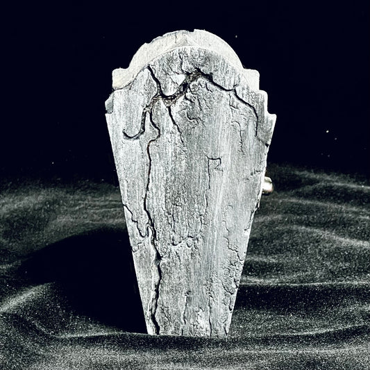 Distressed Coffin 2