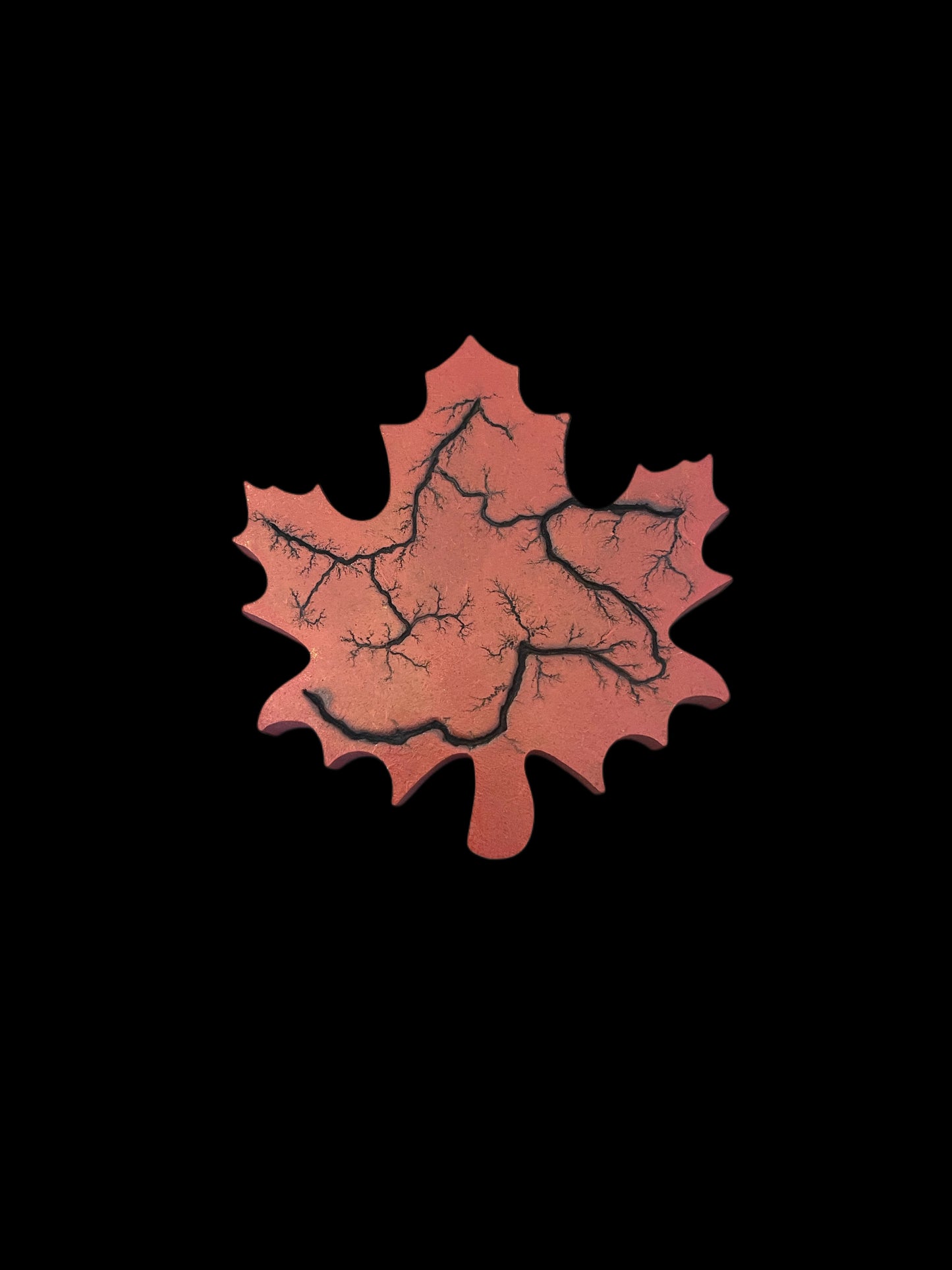 Maple Leaves
